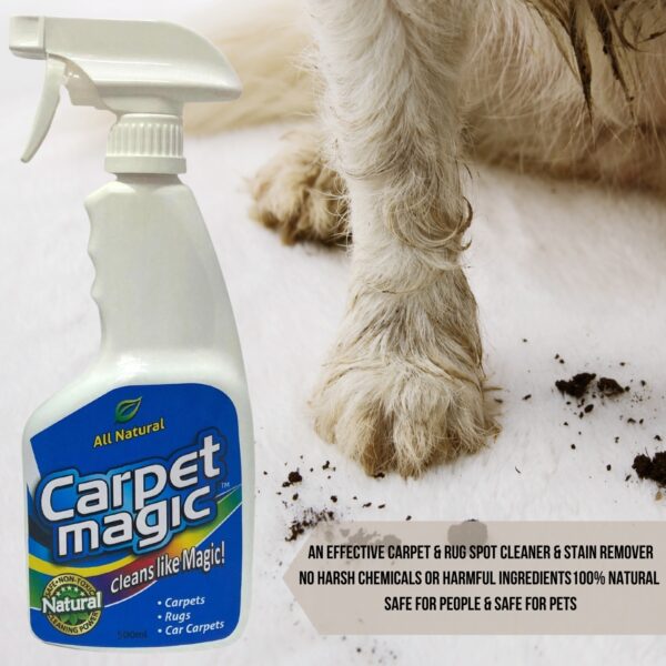 Carpet Stain Remover